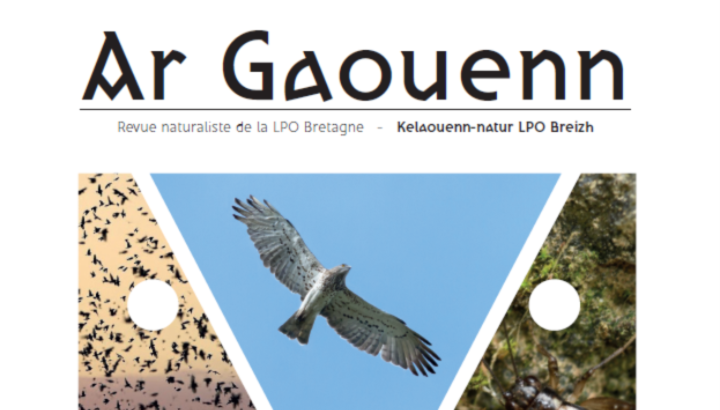 Ar Gaouenn n°3 : Entre Circaète Jean-Le-Blanc et Grillon des torrents